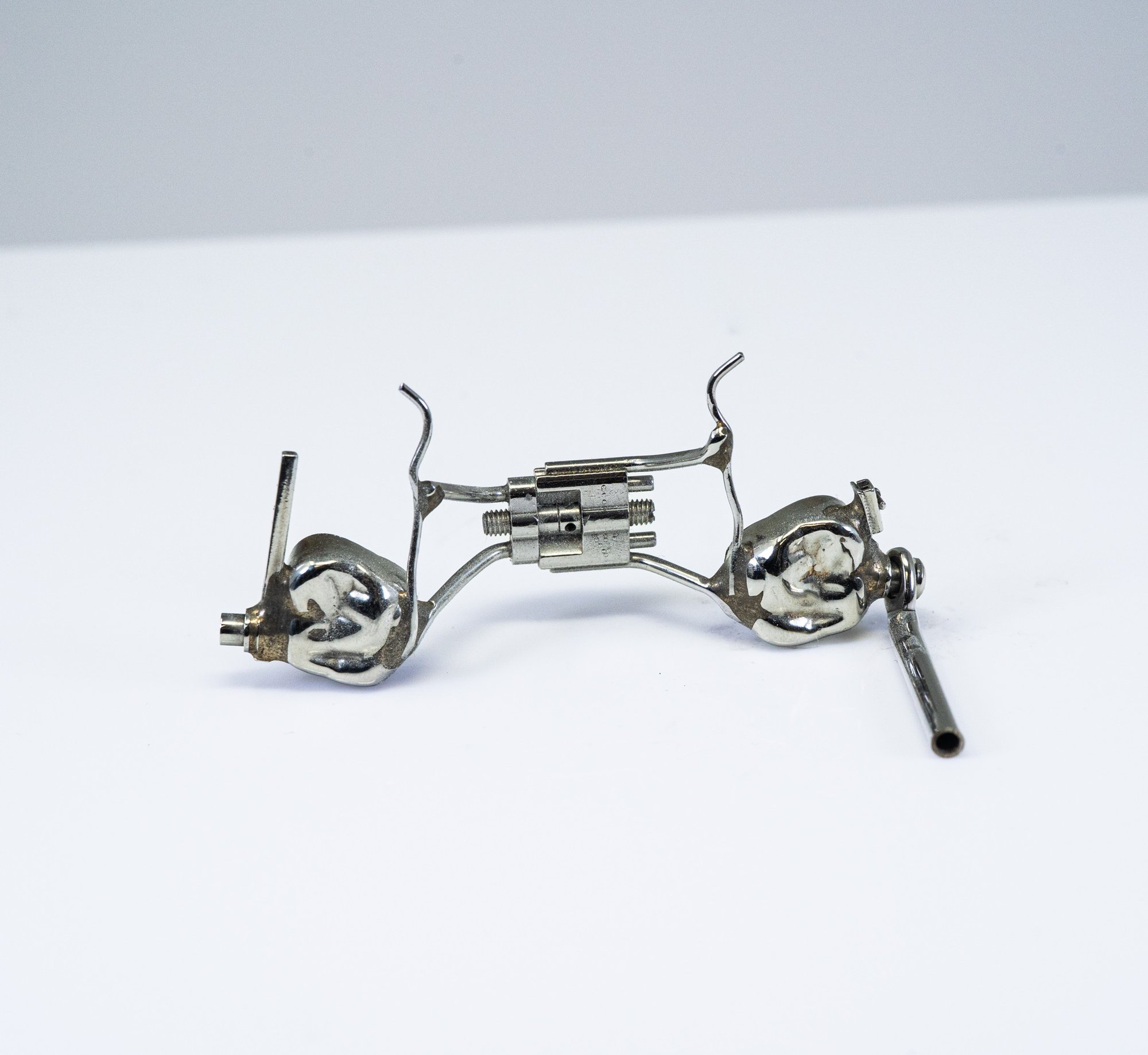 Ortho Gallery (1)