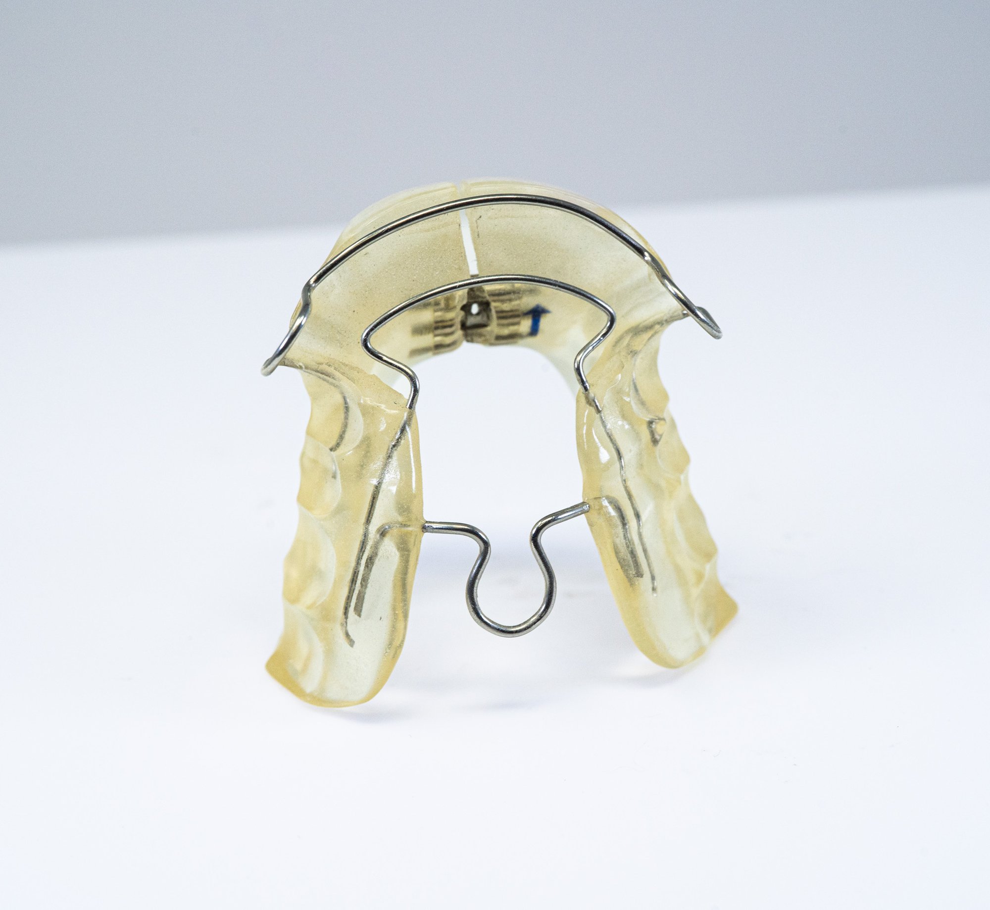 Ortho Gallery (4)