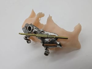 zygo2-1024x771
