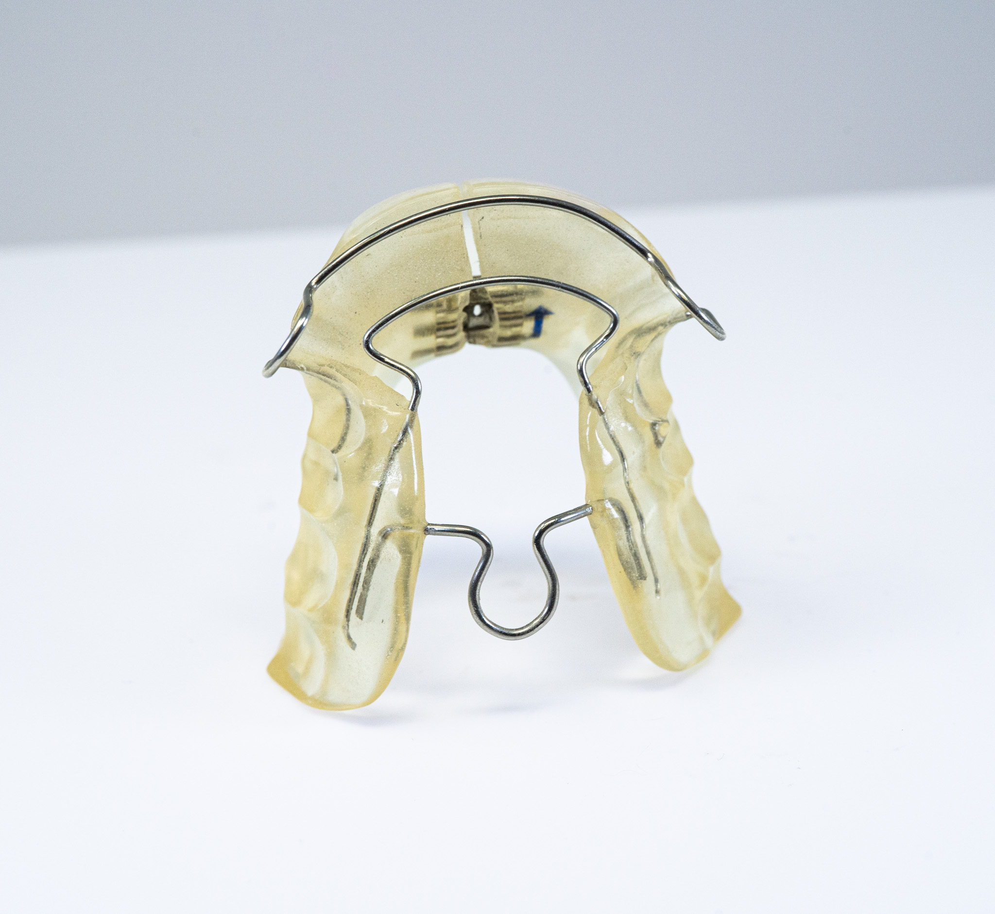 Ortho Gallery (4)