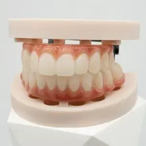 C2F-Model-Double-Articulated-300x300 C2F-Model-Double-Articulated-300x300