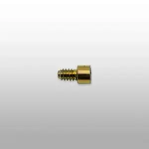 C2F-Screw-300x300 C2F-Screw-300x300
