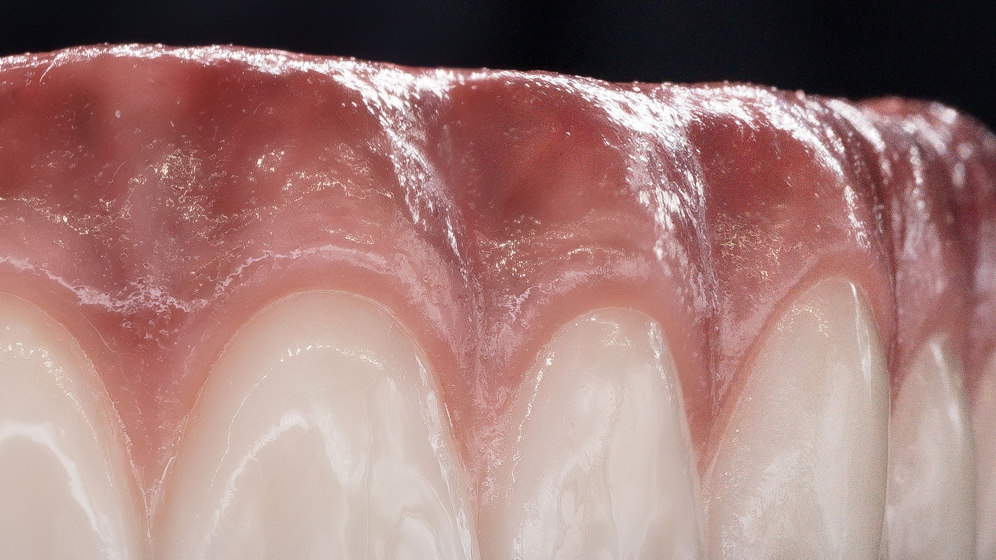 imgi_20_hue-deep-purple-pink